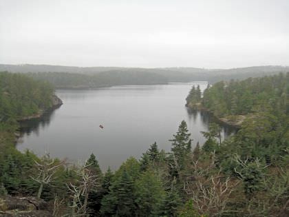 Gallery image 1