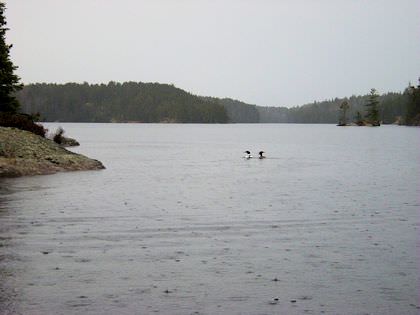 Gallery image 8