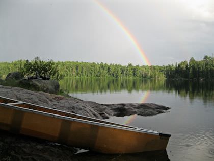 Gallery image 6