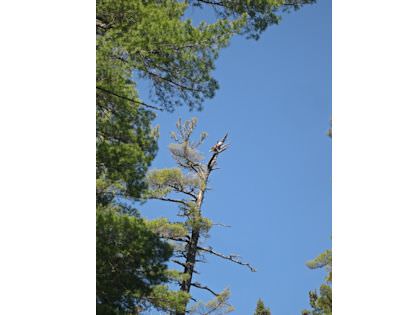 Gallery image 12