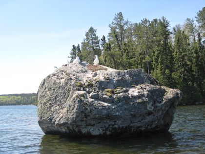 Gallery image 6